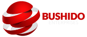 Bushido Enterprises Web Design in Allentown PA
